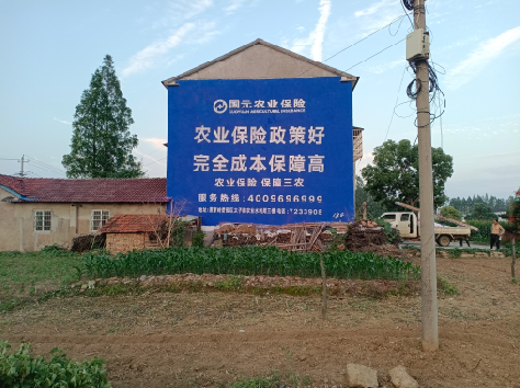 镇康墙体广告的优劣势你知道吗？